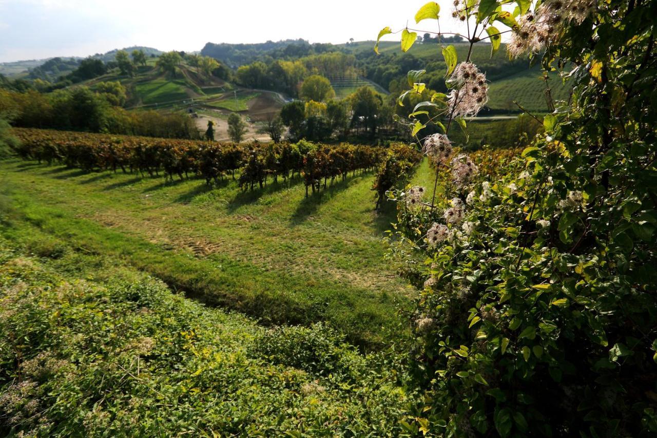 פאנצה Agriturismo Trere מראה חיצוני תמונה